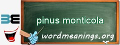 WordMeaning blackboard for pinus monticola